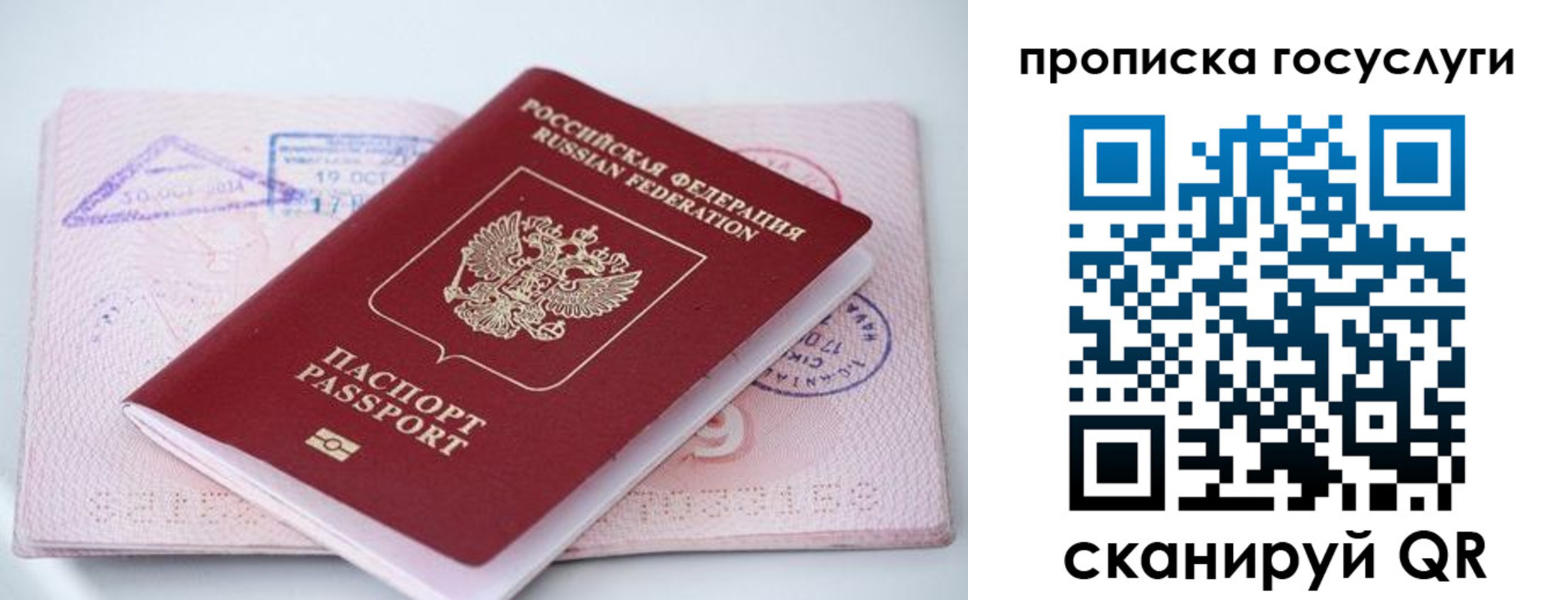прописка законно в Мордовии